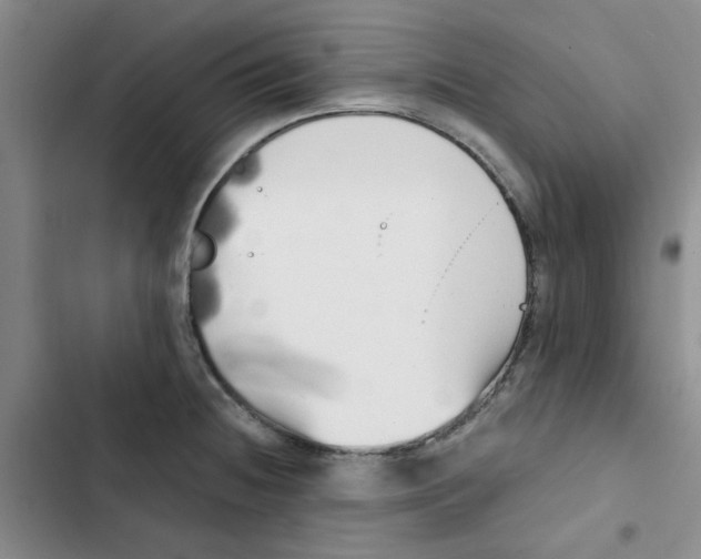 X0000102871236200809151227