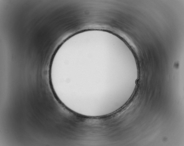 X0000102871237200809151227