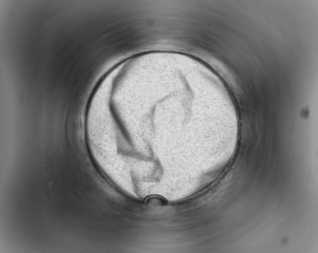 X0000102871238200809151227