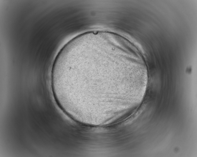 X0000102871239200809151227