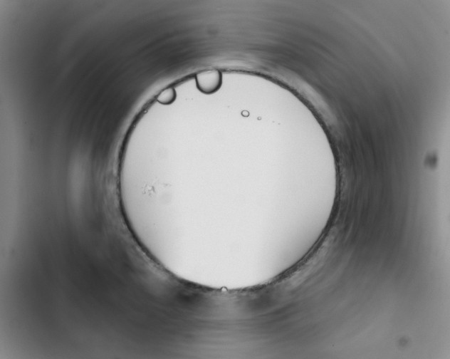 X0000102871240200809151227