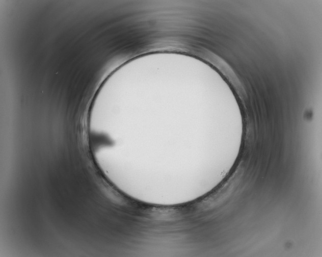 X0000102871242200809151227