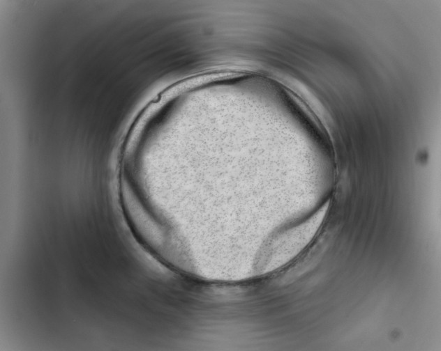 X0000102871243200809151227