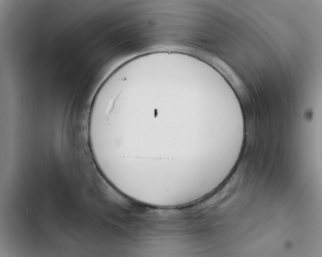 X0000102871244200809151227