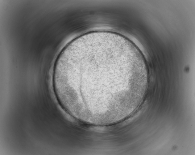 X0000102871245200809151227