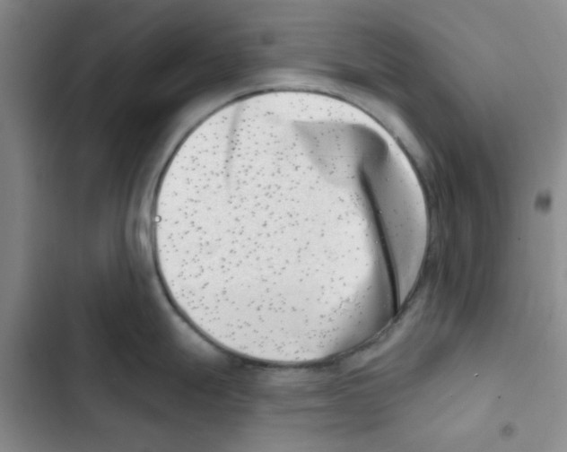 X0000102871247200809151227