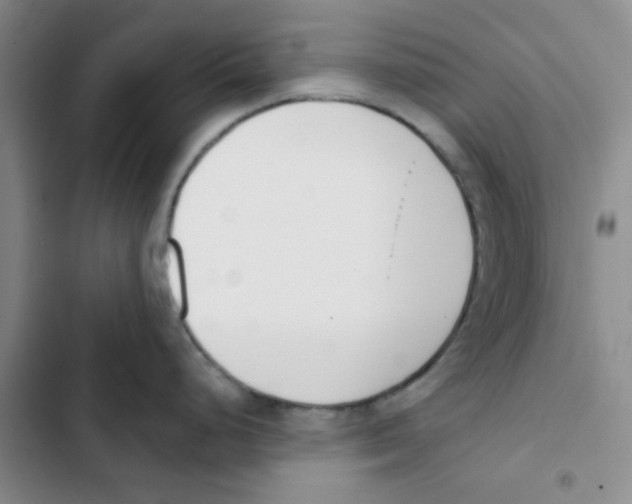 X0000102871248200809151227