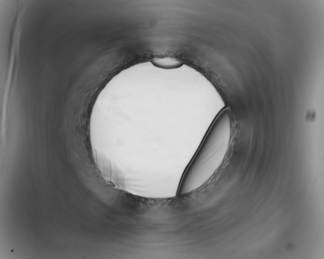 X0000102871249200809151227