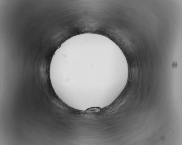 X0000102871250200809151227