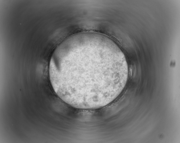 X0000102871251200809151227