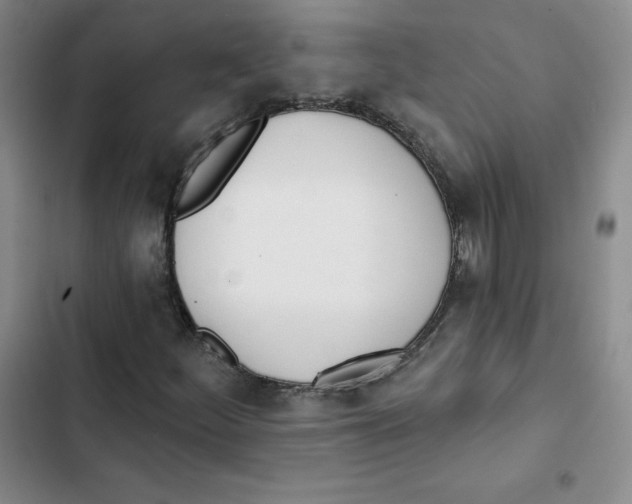 X0000102871252200809151227