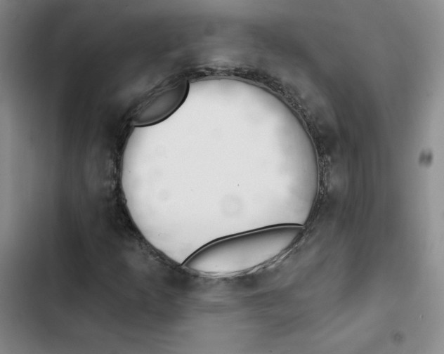 X0000102871253200809151227