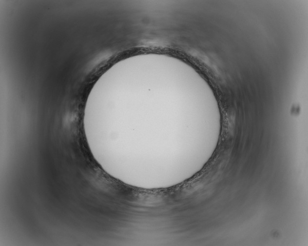 X0000102871254200809151227