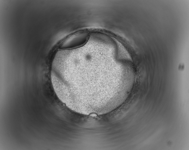 X0000102871255200809151227