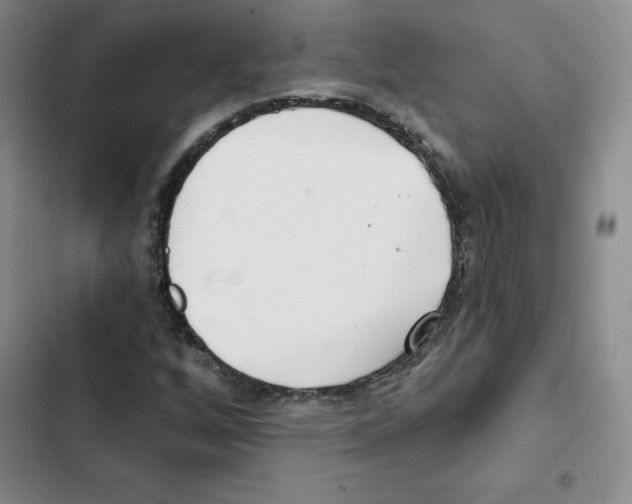 X0000102871256200809151227