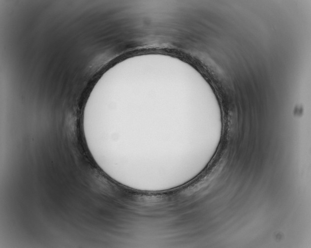 X0000102871257200809151226