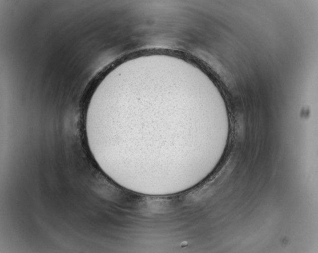 X0000102871258200809151226