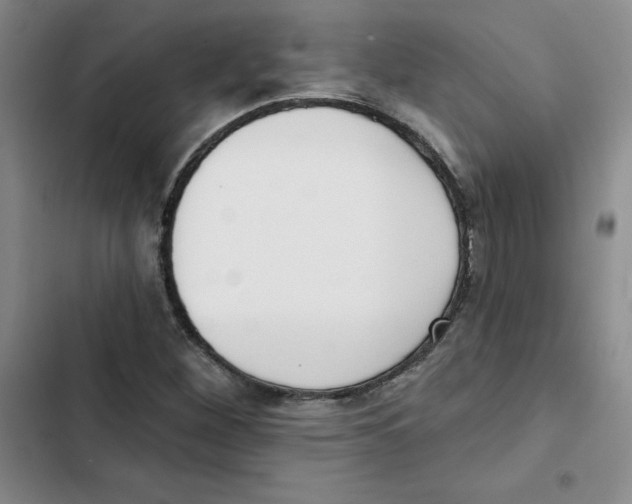 X0000102871260200809151226