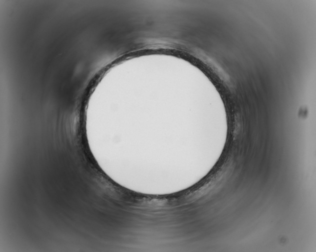 X0000102871261200809151226