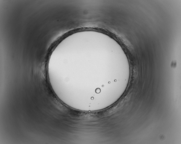 X0000102871262200809151226