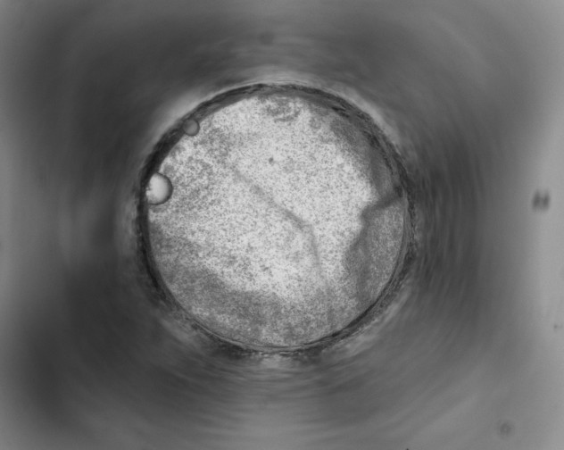 X0000102871263200809151226