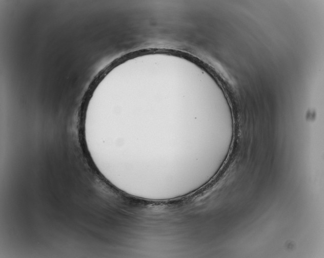 X0000102871264200809151226