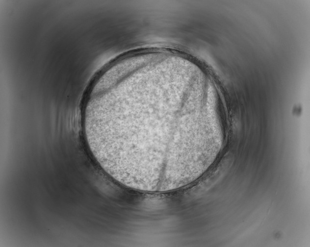 X0000102871267200809151226