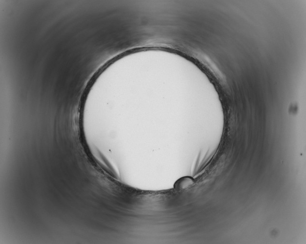 X0000102871268200809151226