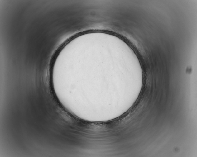 X0000102871270200809151226