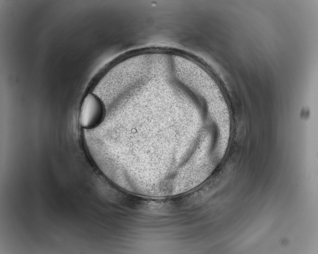 X0000102871271200809151226