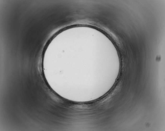 X0000102871272200809151226