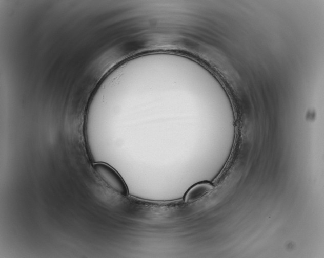 X0000102871273200809151226