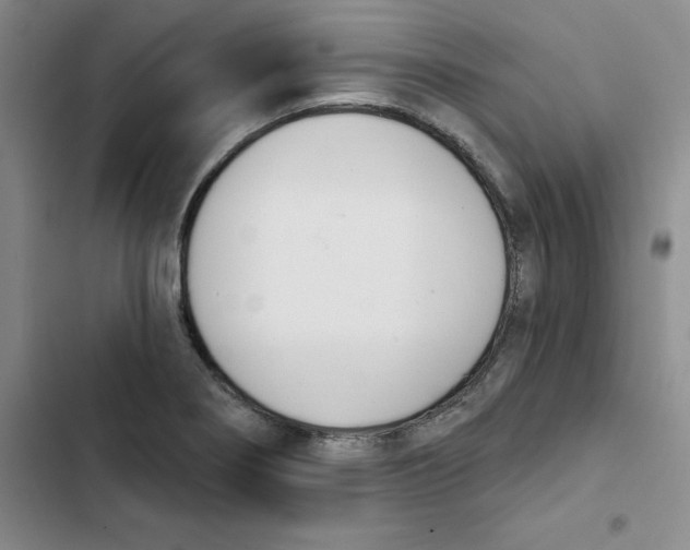 X0000102871274200809151226