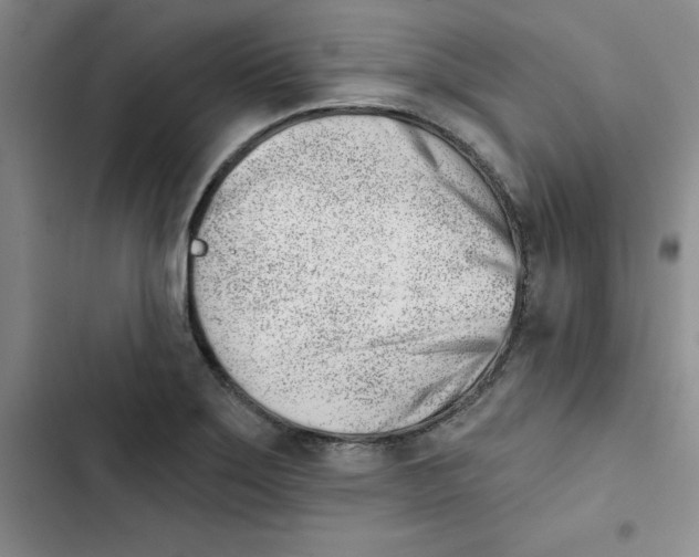 X0000102871275200809151226