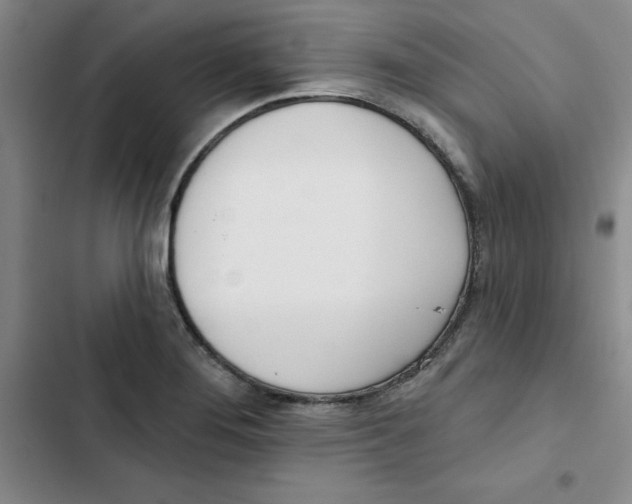 X0000102871276200809151226