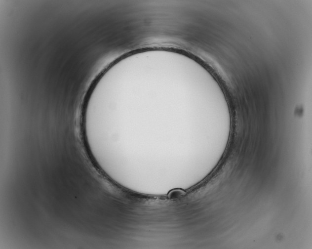 X0000102871277200809151226