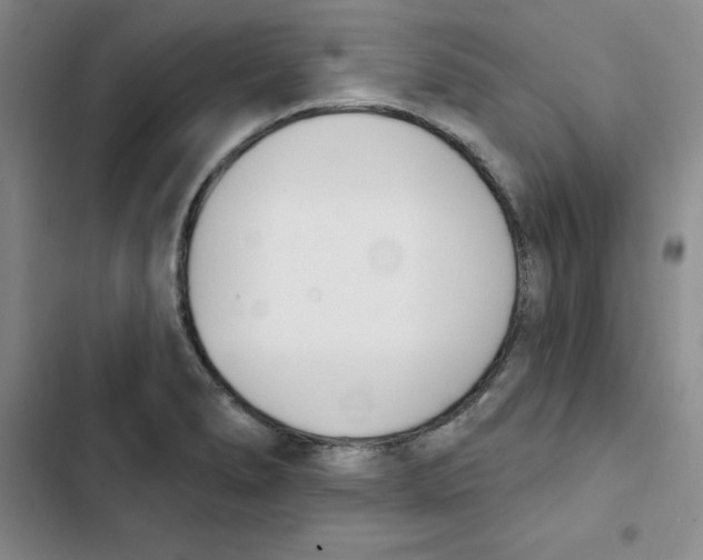 X0000102871278200809151226