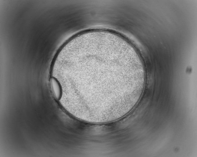 X0000102871279200809151226