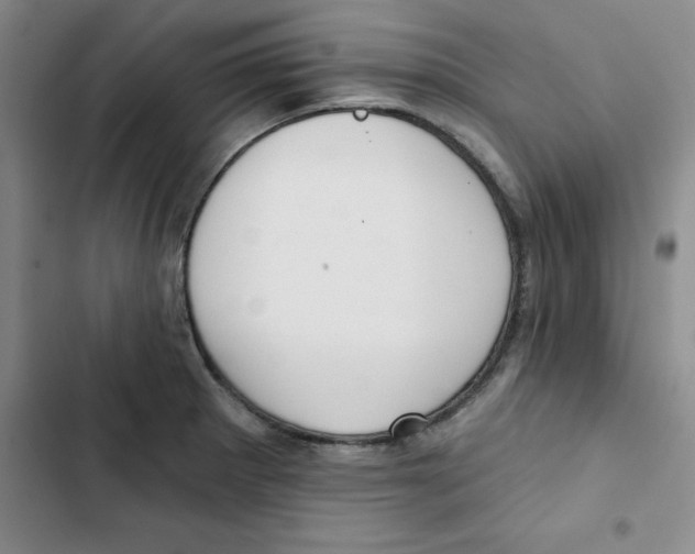 X0000102871281200809151226