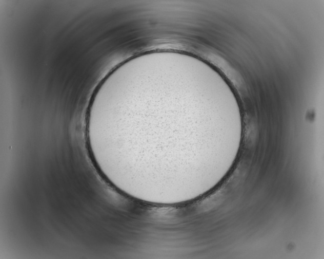 X0000102871282200809151226