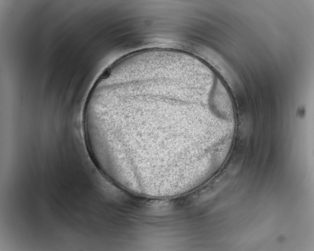 X0000102871283200809151226