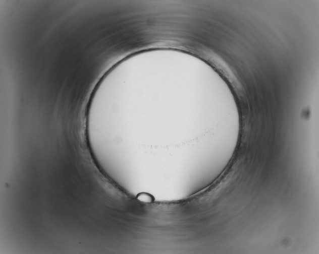 X0000102871284200809151226