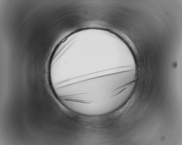 X0000102871285200809151226