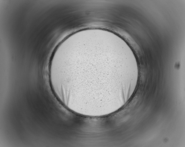 X0000102871286200809151226