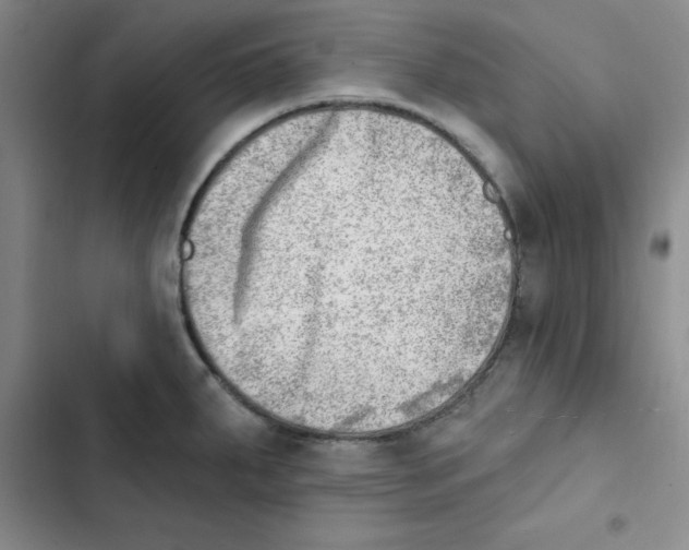 X0000102871287200809151226