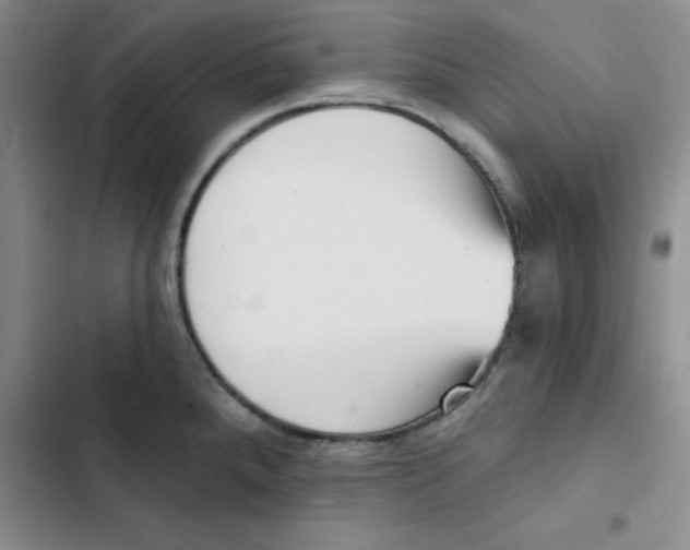 X0000102871288200809151226