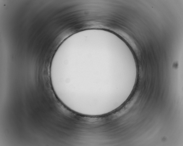 X0000102871289200809151226