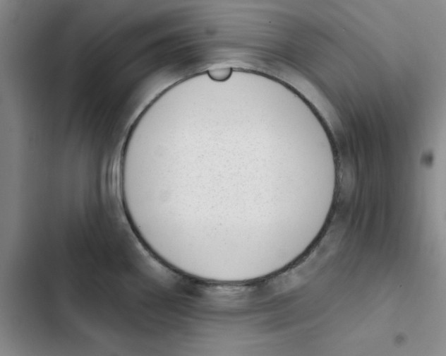 X0000102871290200809151226