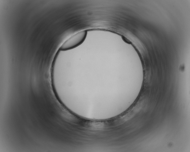 X0000102871291200809151226