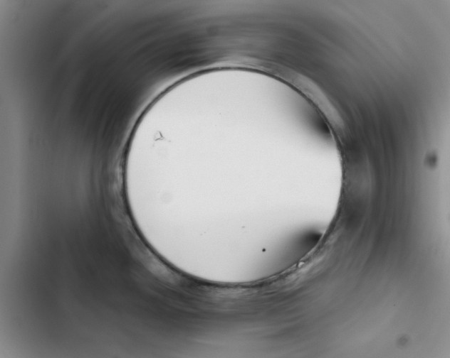 X0000102871292200809151226